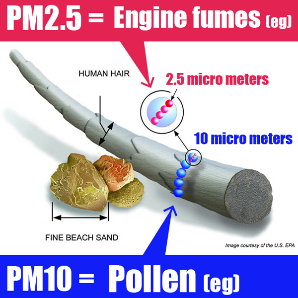 Particulates