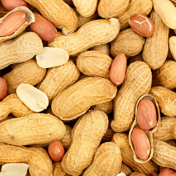 Peanut