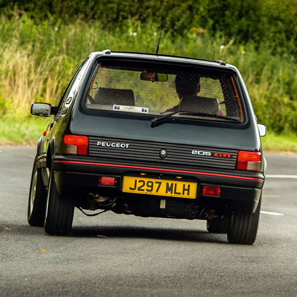 Peugeot 205 logo