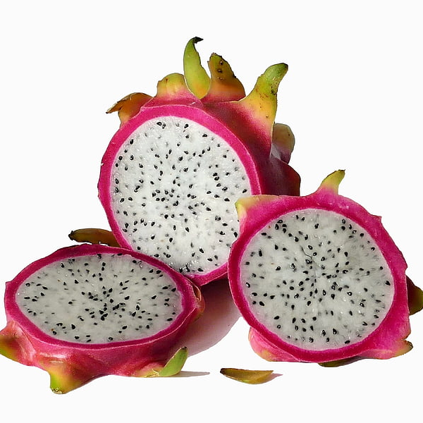 Pitaya