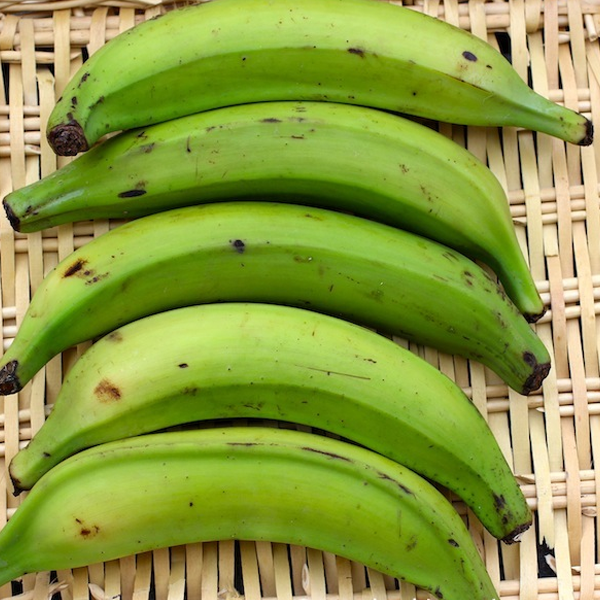Platano