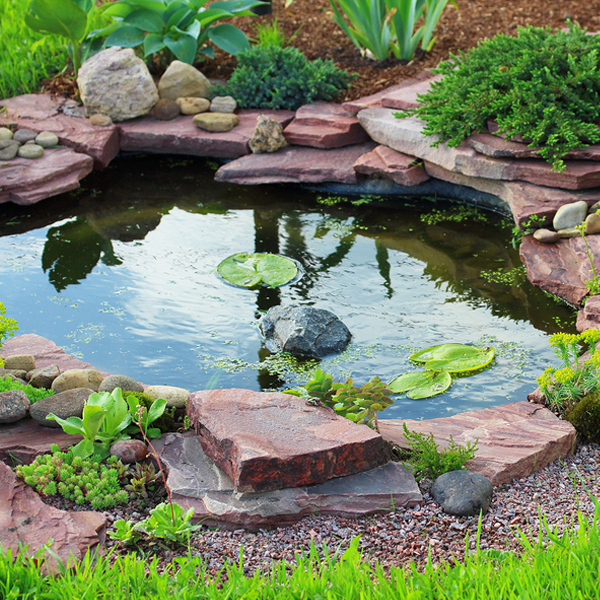 Pond