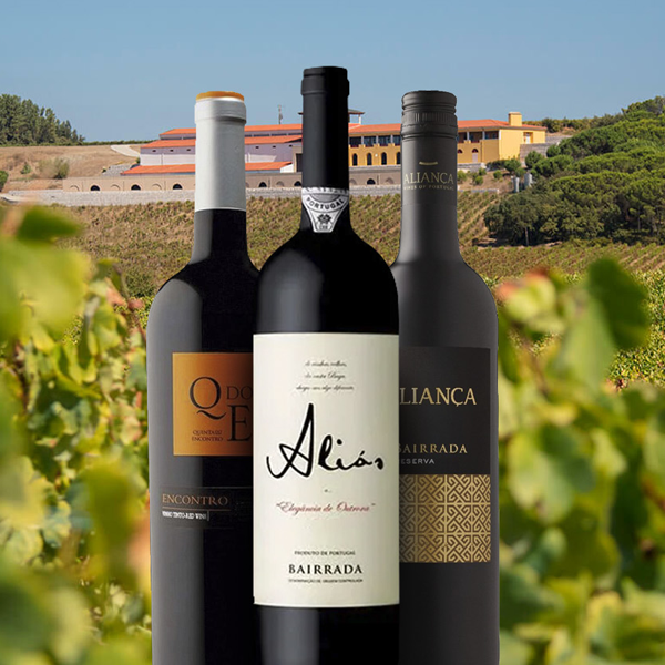 Portuguese wine