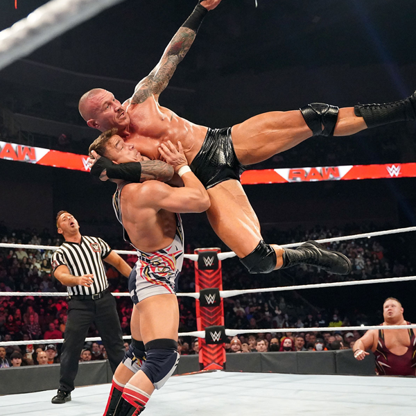 Professional wrestling throws