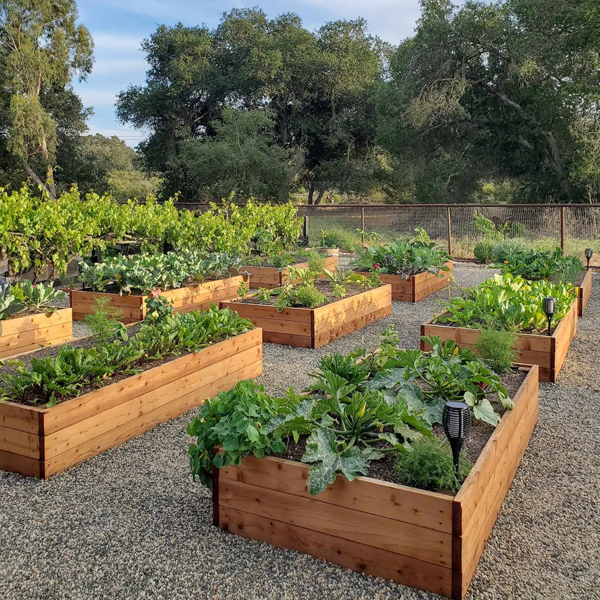 Raised-bed gardening logo