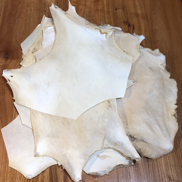 Rawhide (material) logo