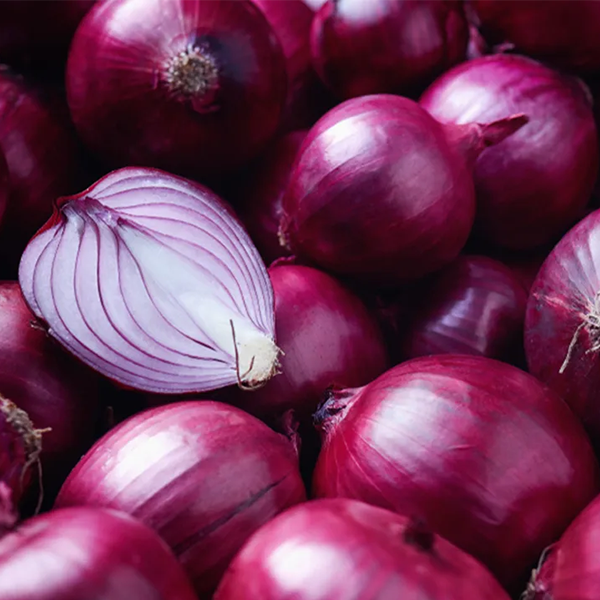 Red onion