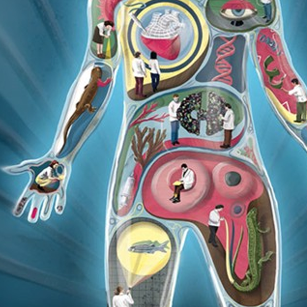 Regenerative medicine logo