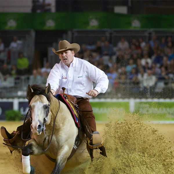 Reining logo