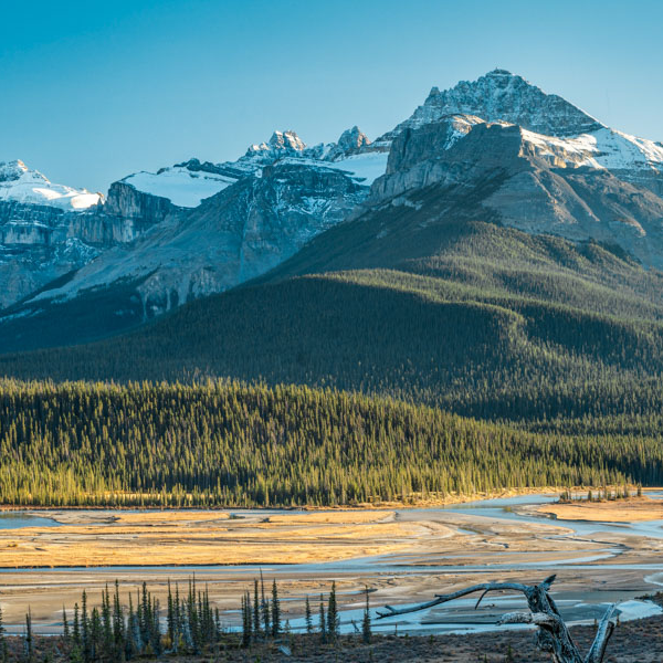 Saskatchewan