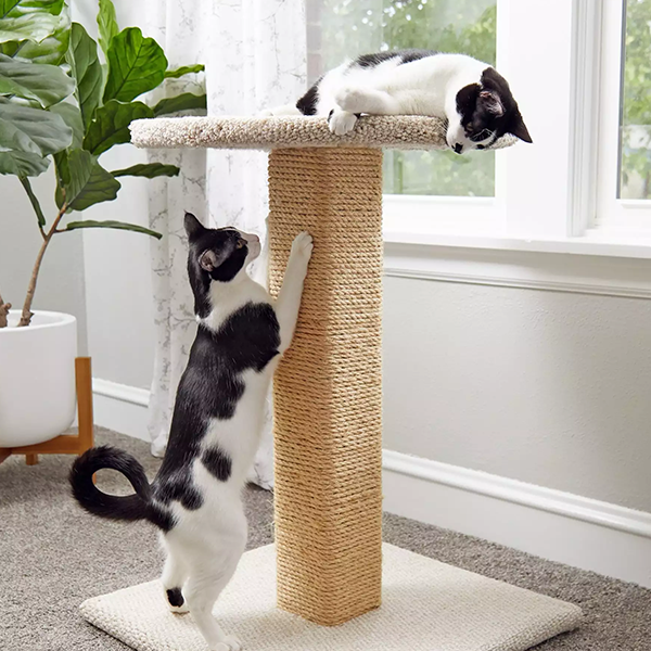 Scratching post logo