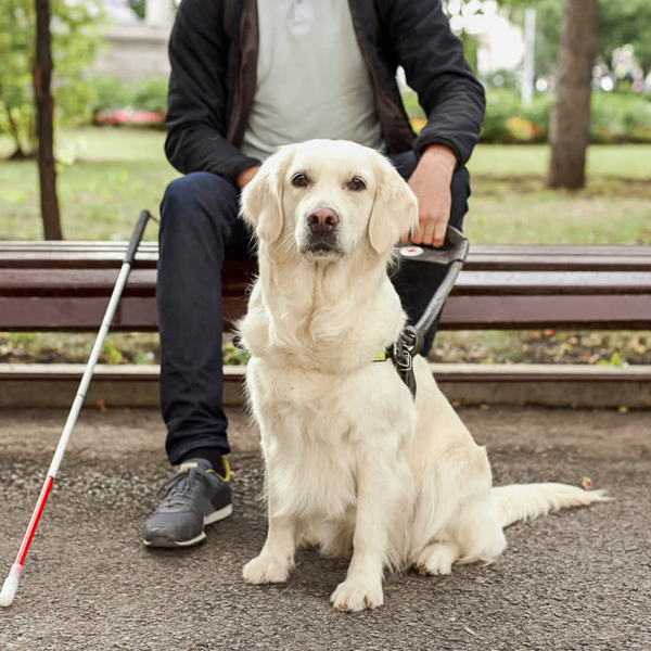 Service dog logo
