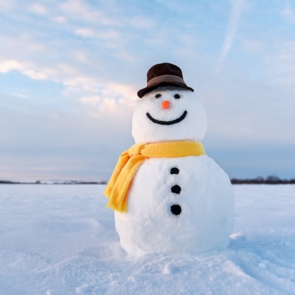 Snowman logo