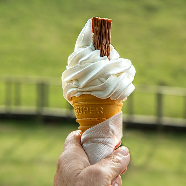 Soft serve logo