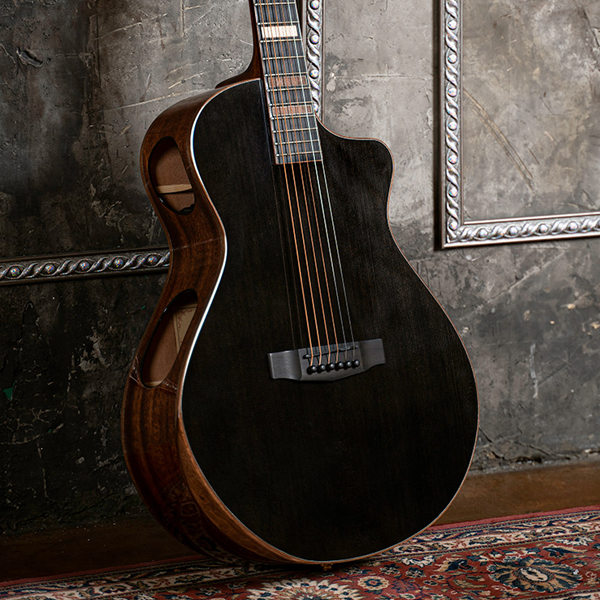 Steel-string acoustic guitar