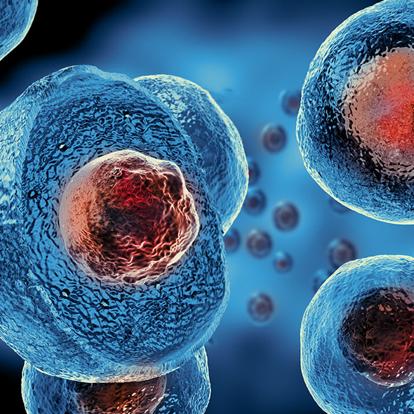 Stem cell logo