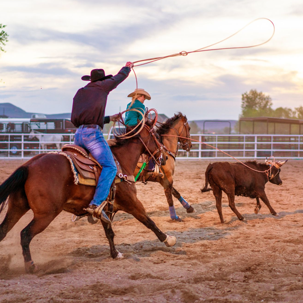 Team roping