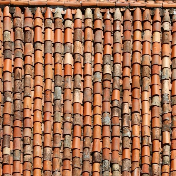 Terracotta logo