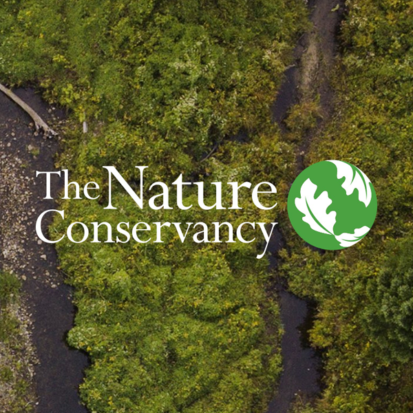 The Nature Conservancy