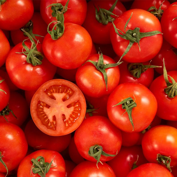 Tomato