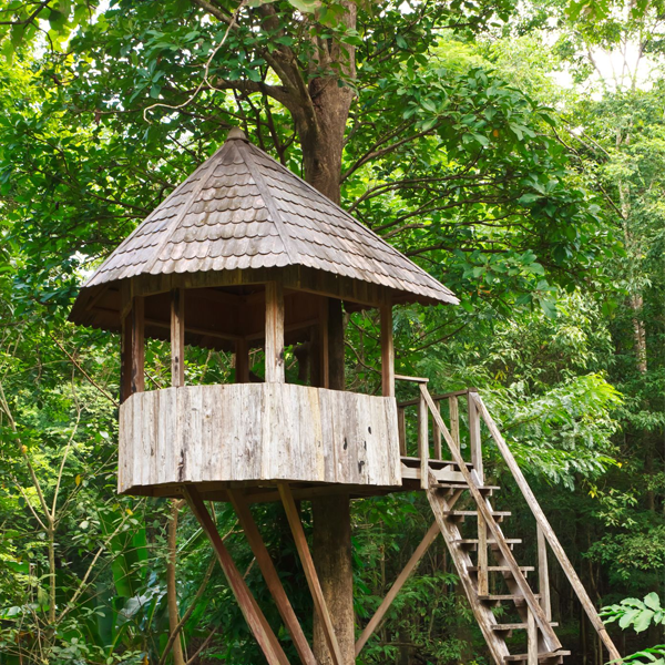 Tree house logo