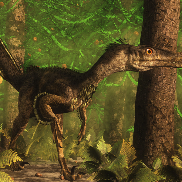 Velociraptor logo