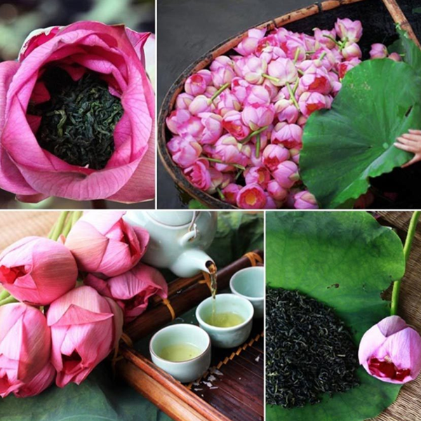 Vietnamese lotus tea