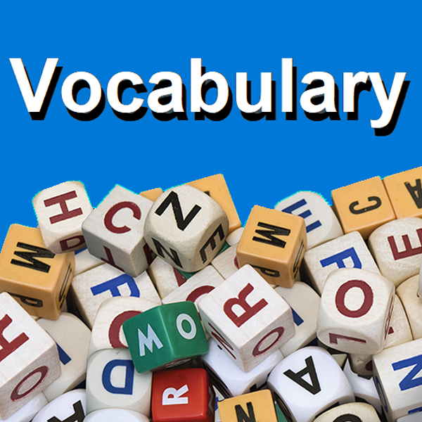 Vocabulary logo