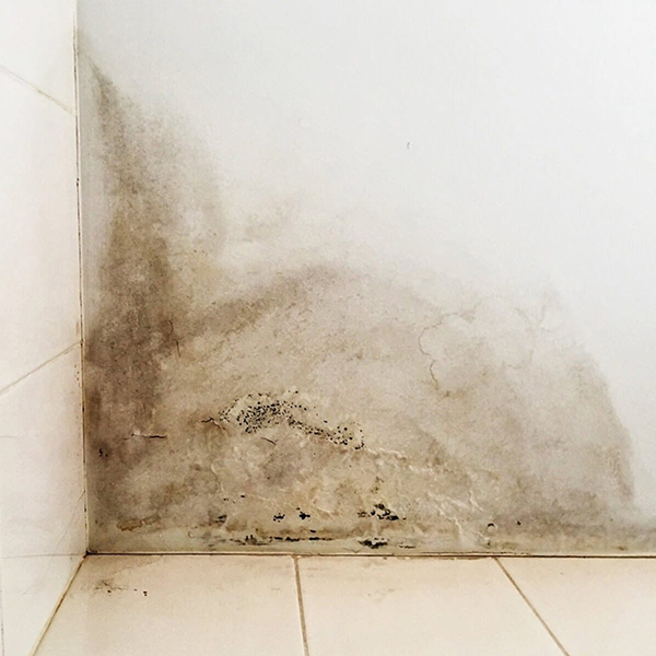 Water damage logo