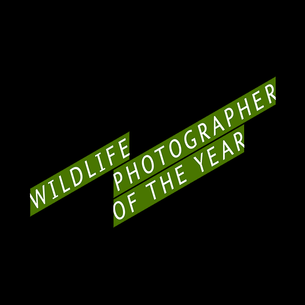 Wildlife Photographer of the Year