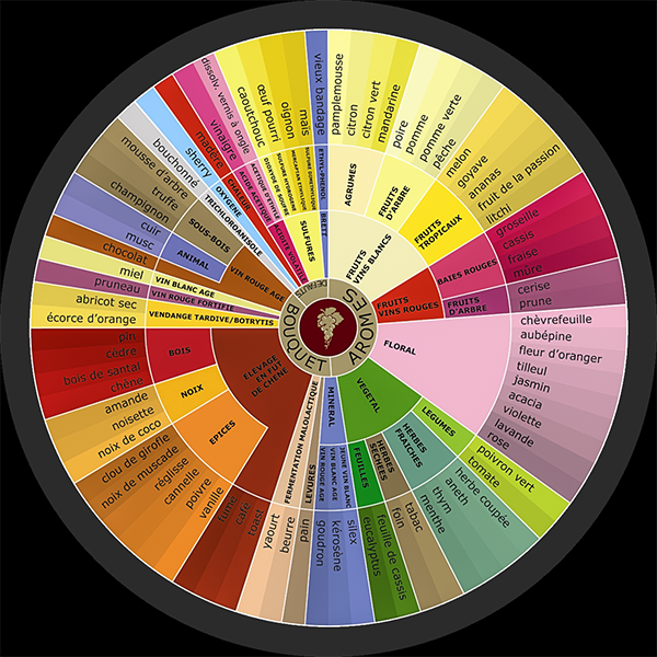 Wine tasting descriptors logo