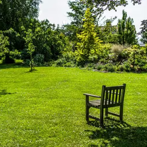 Yard (land)