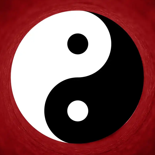 Yin and yang logo
