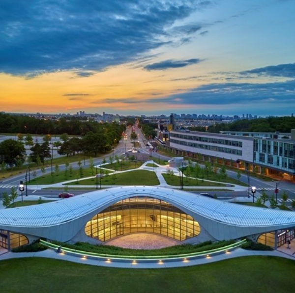 York University