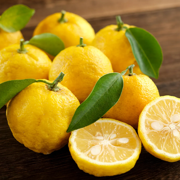 Yuzu