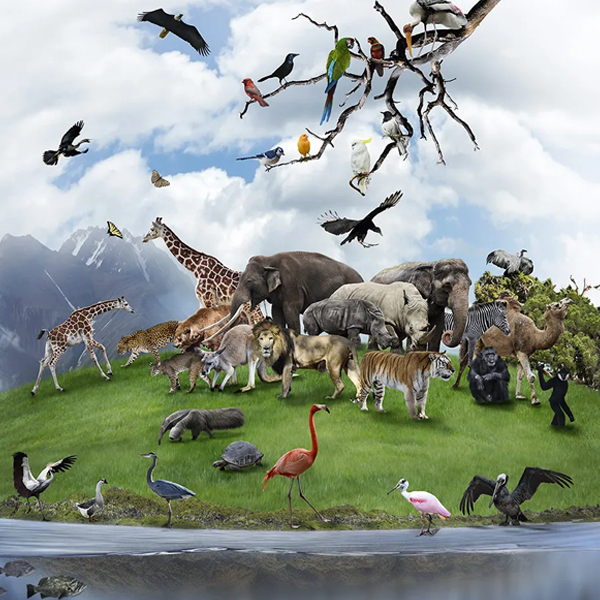 Zoology logo