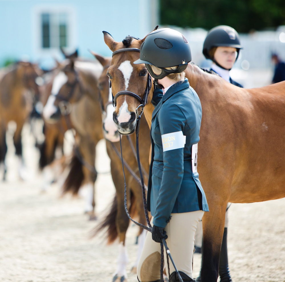 Horse show logo