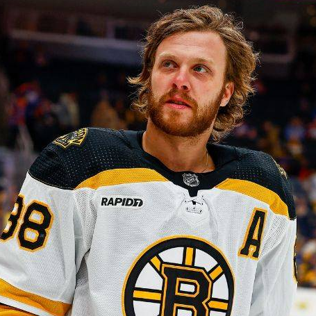 David Pastrnak logo
