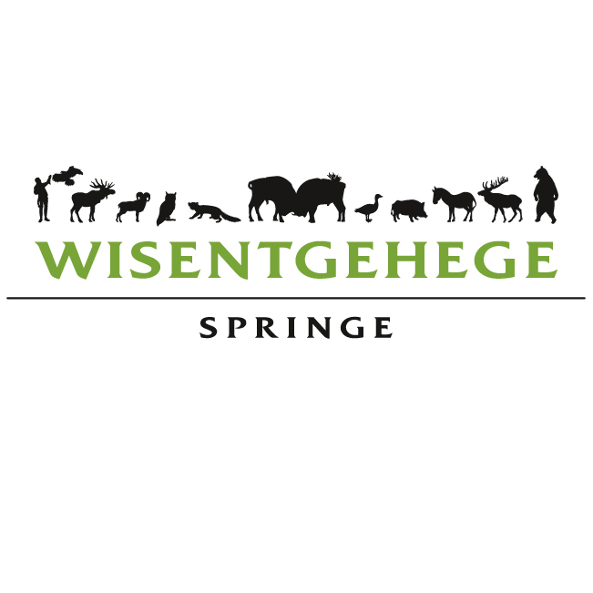 Wisentgehege Springe