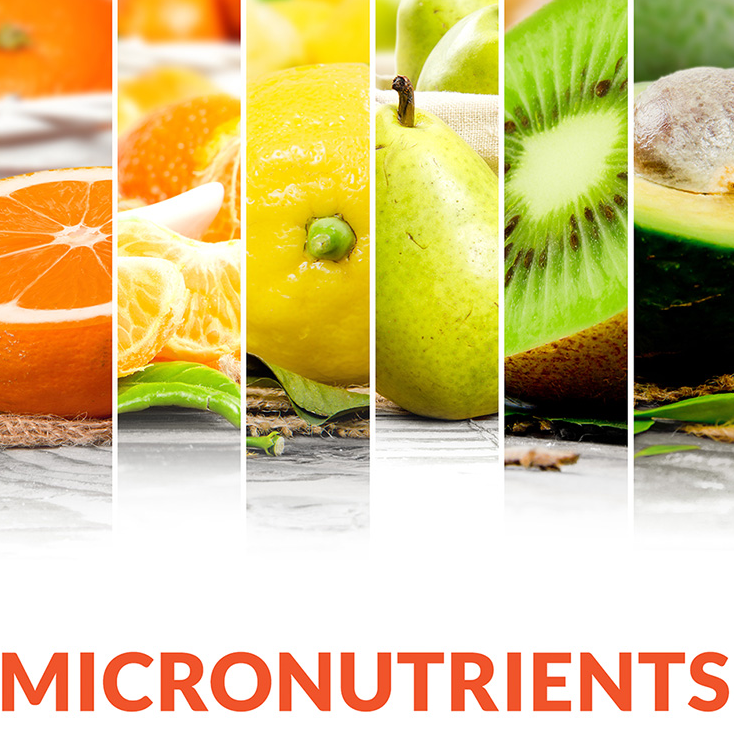 Micronutrient logo