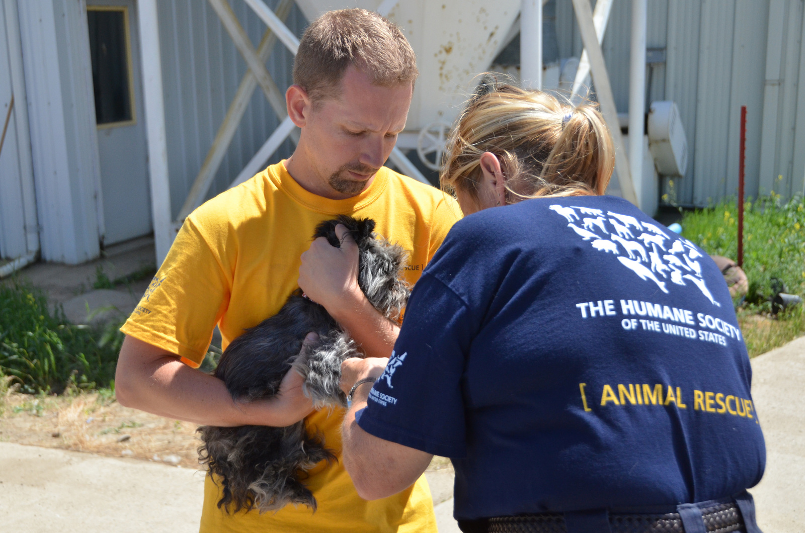 Animal law logo