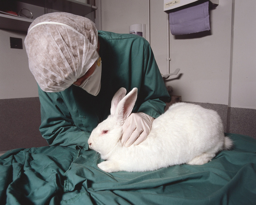 Animal testing logo