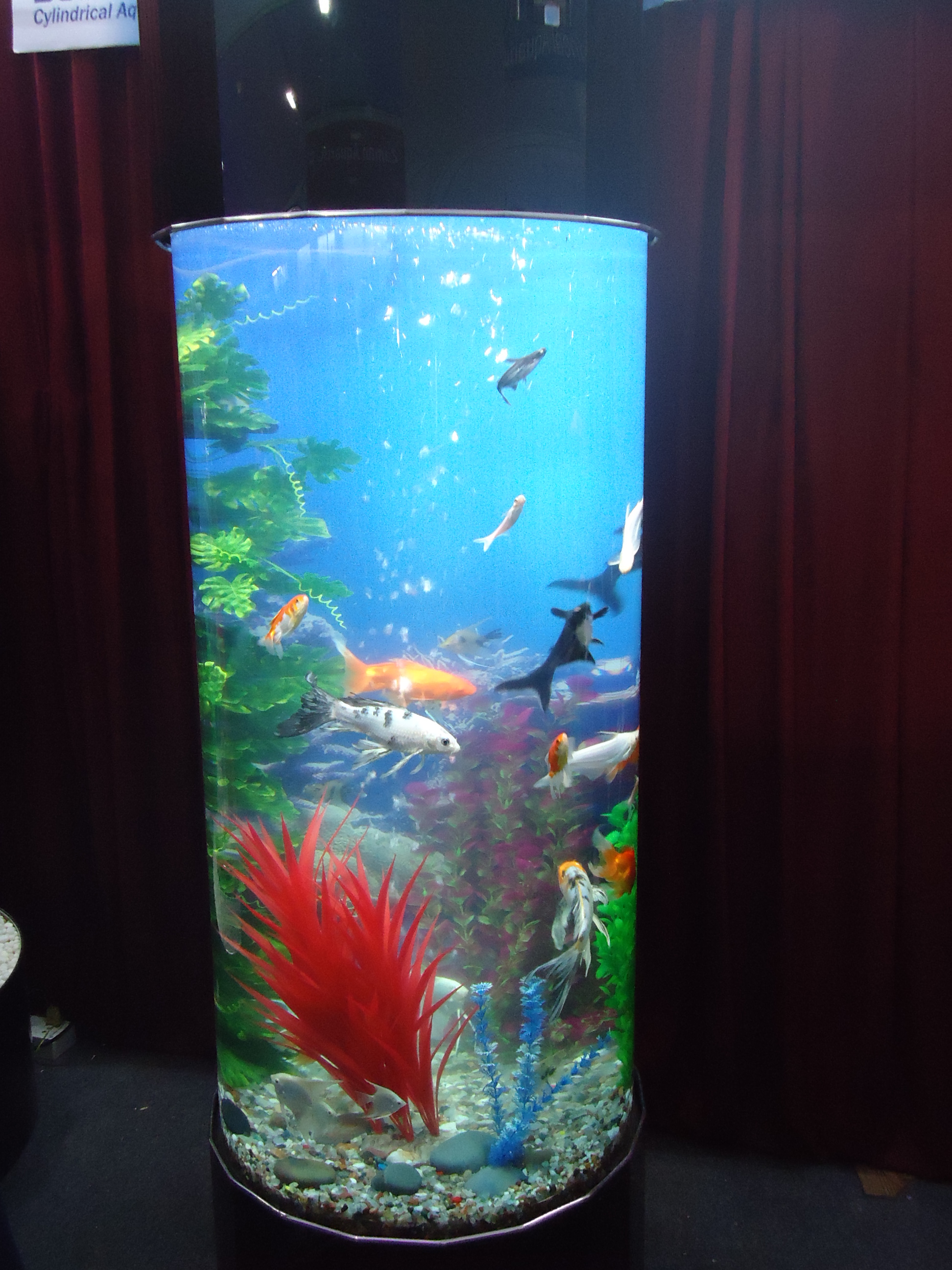 Aquarium logo