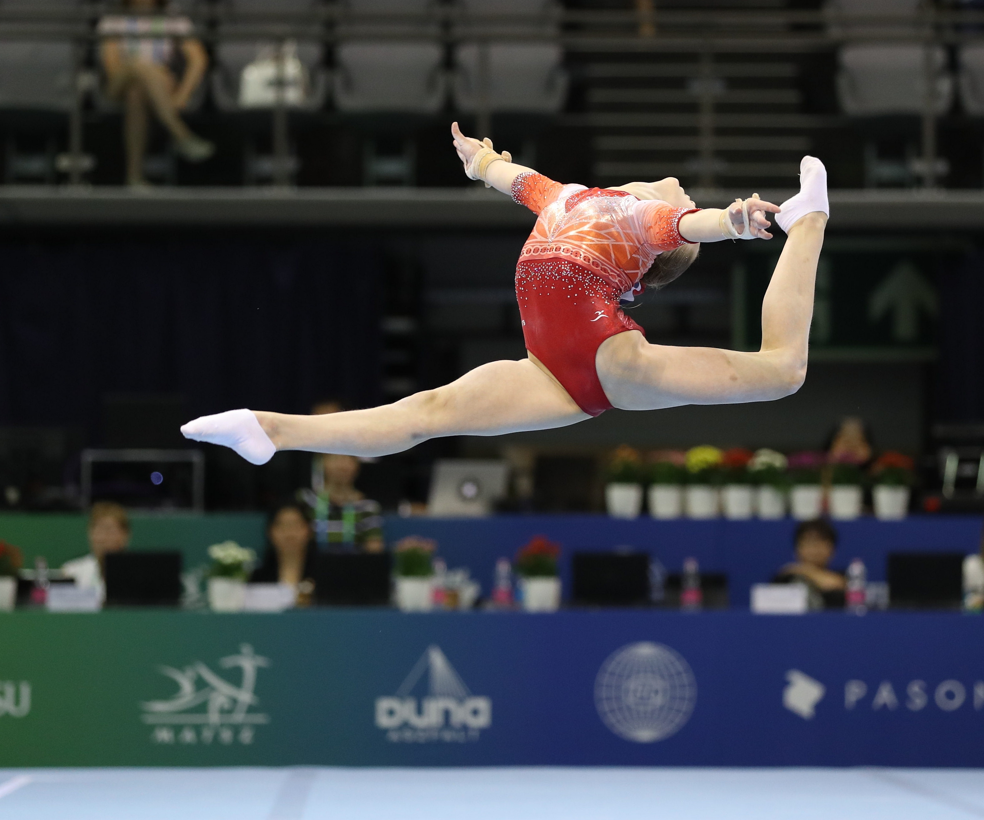 Artistic gymnastics
