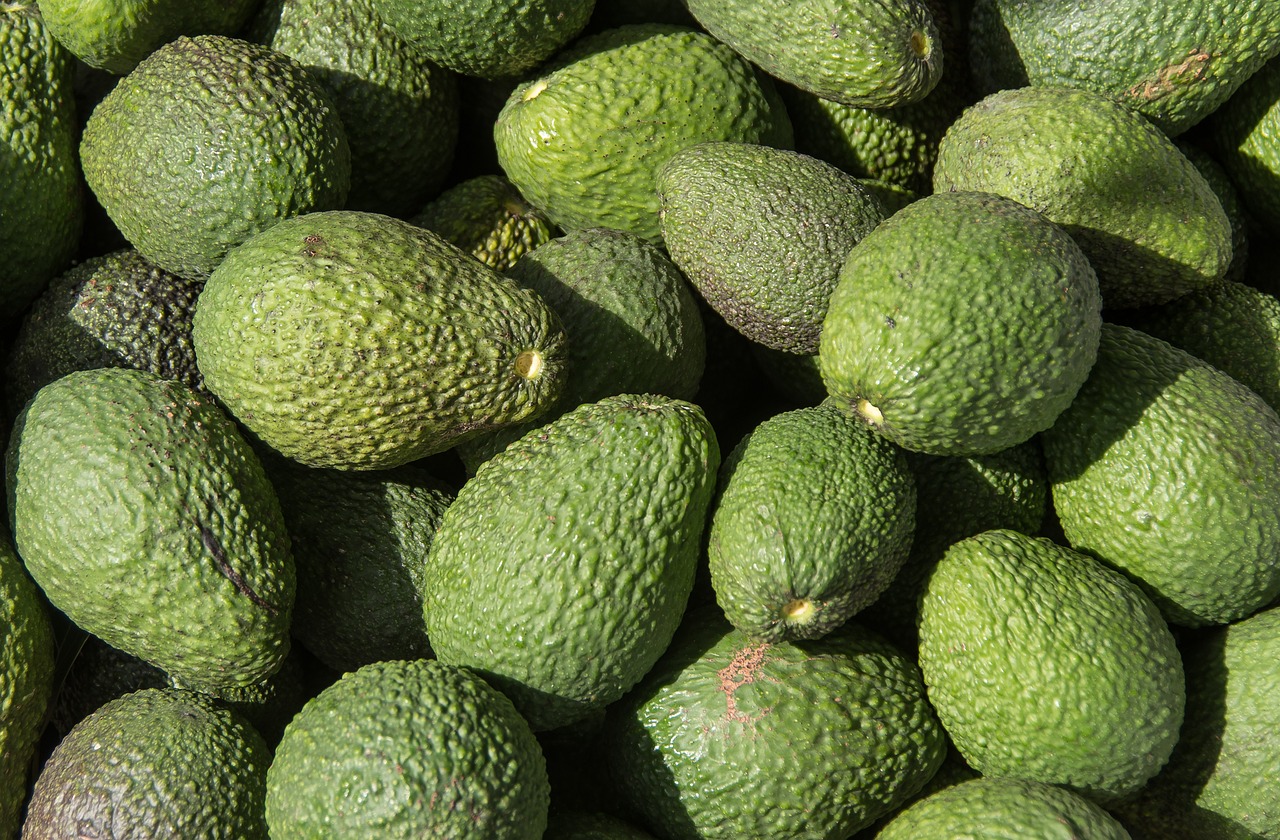 Avocado