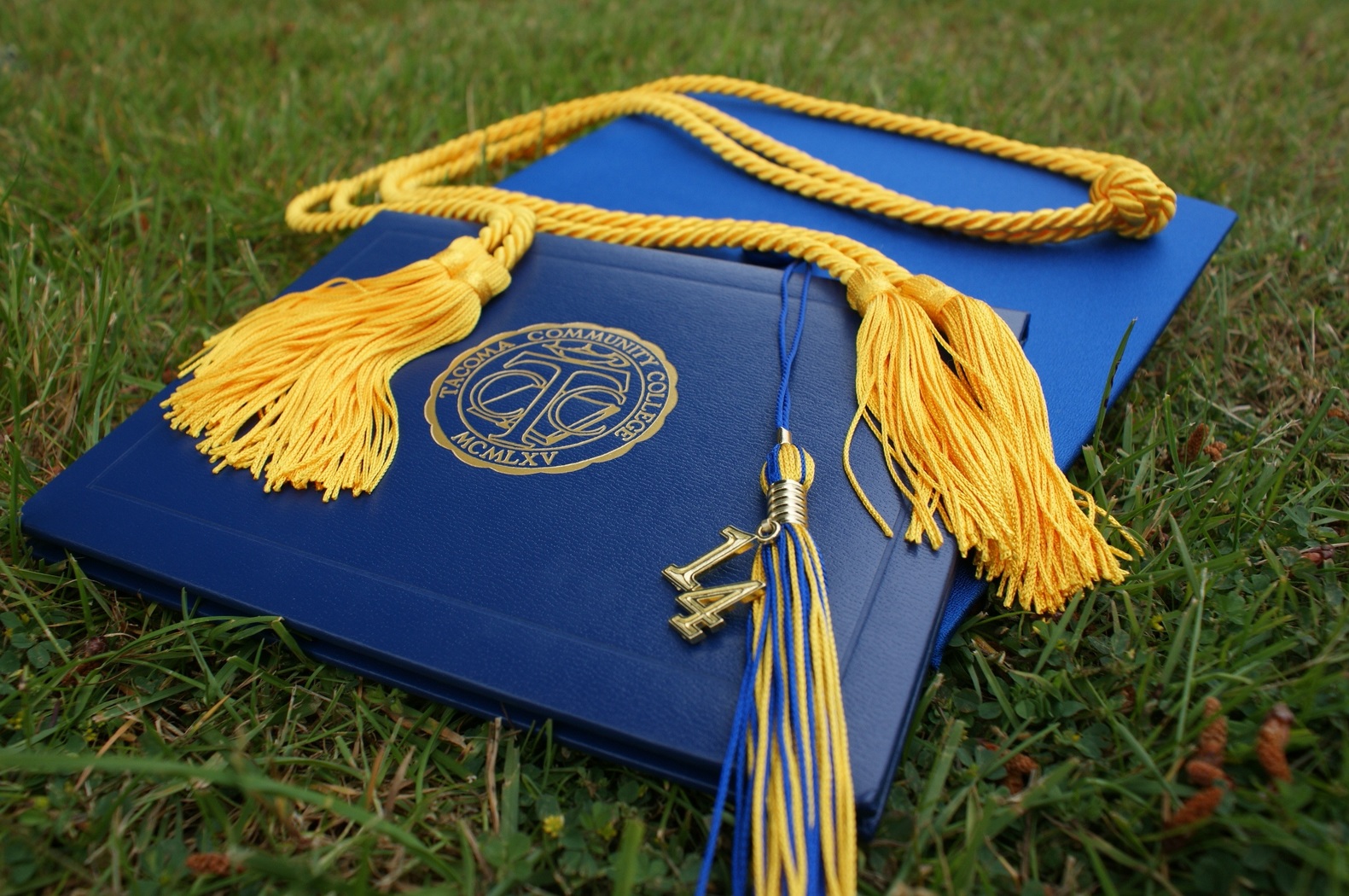 Bachelor's degree