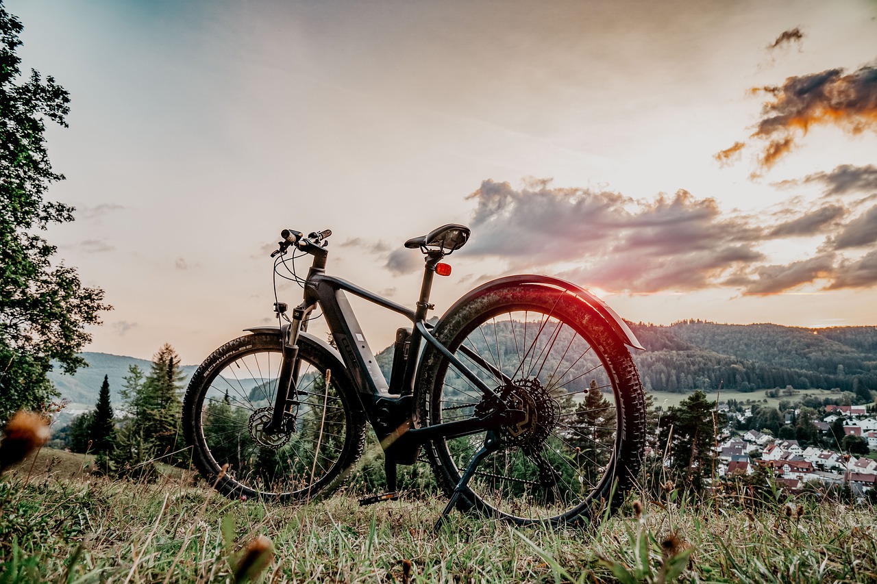 Bicycle