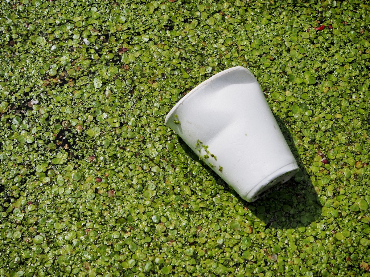Biodegradable waste logo