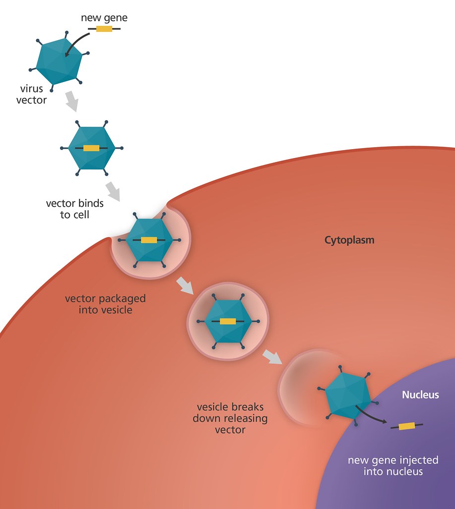 Cell therapy logo