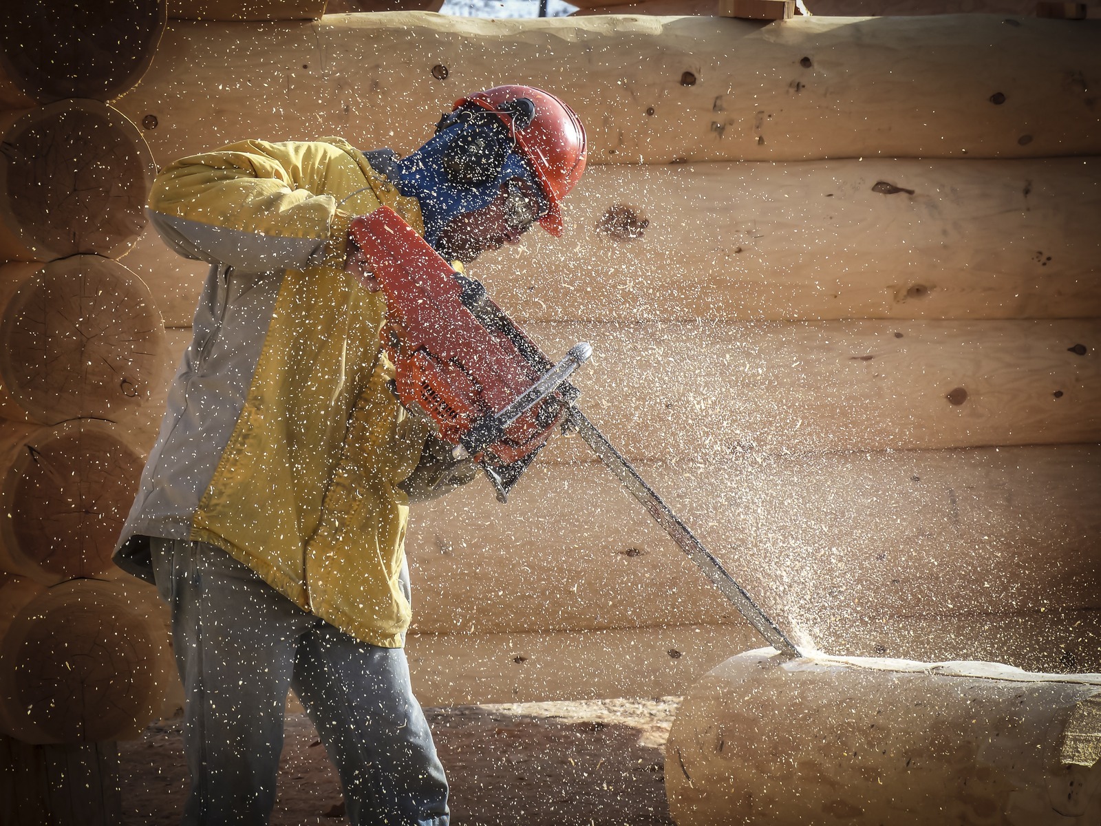 Chainsaw logo